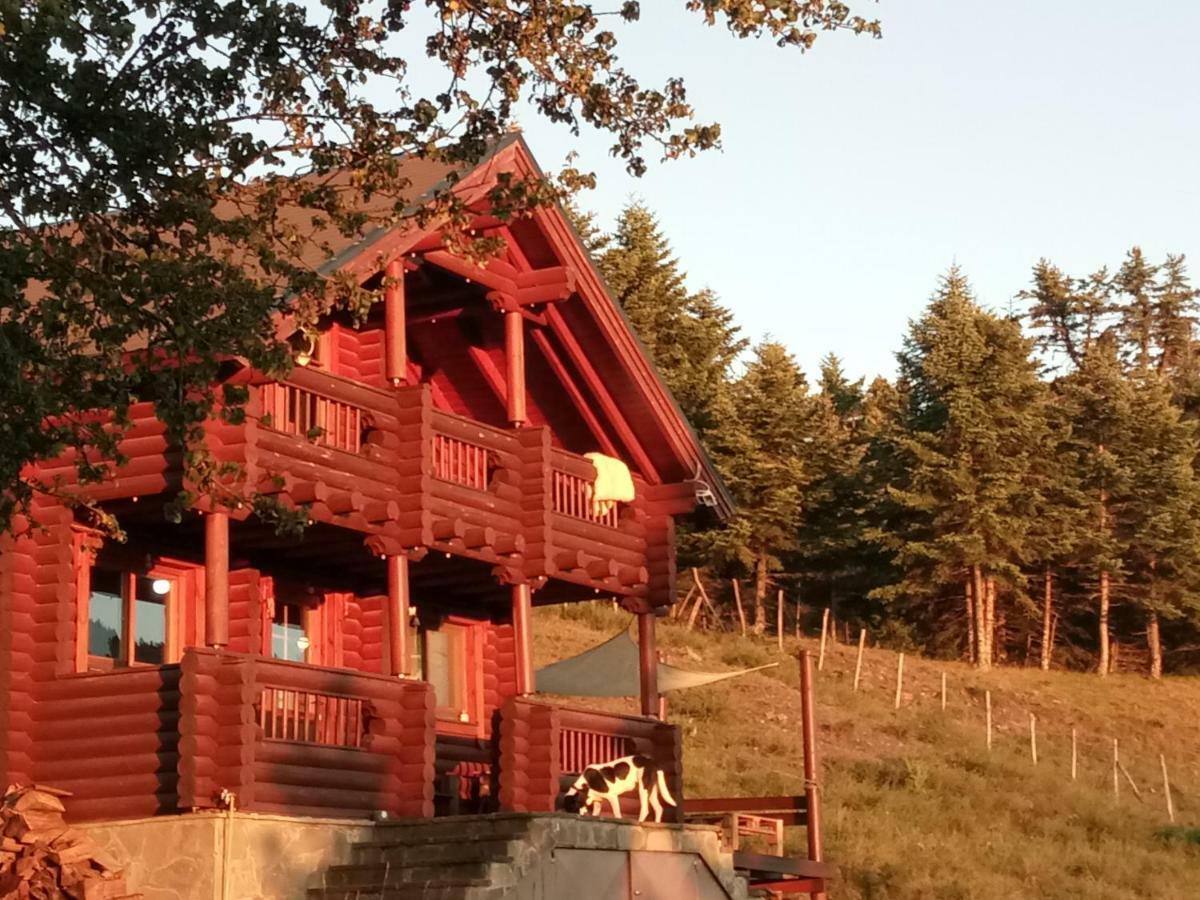 Katafygio Chalet, Krikello Villa Kríkellon Exterior foto